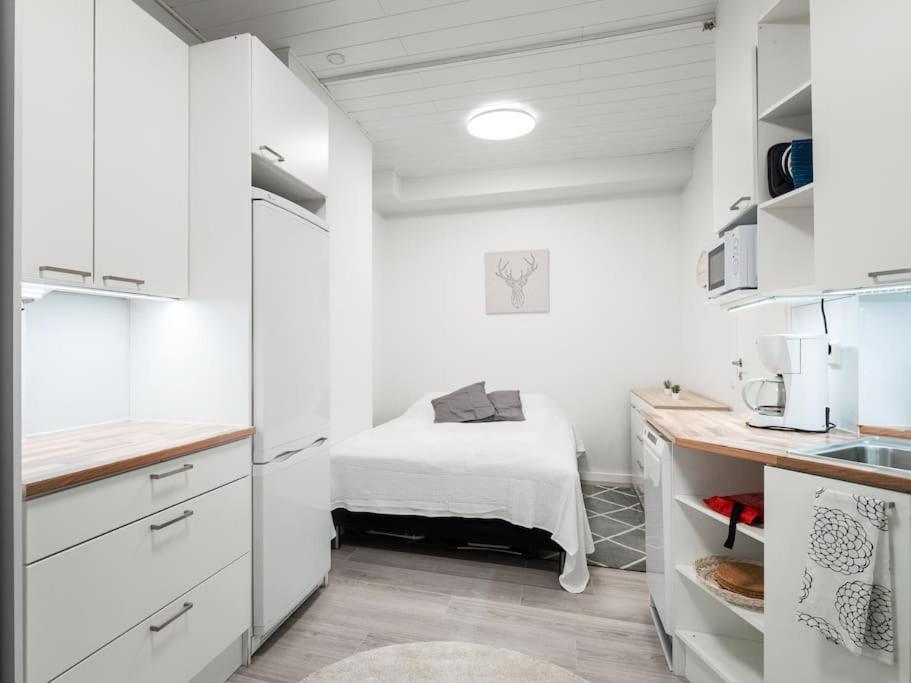 Cozy Roomy Studio Flat Next To Tram Stop @ Kallio Helsinki Buitenkant foto